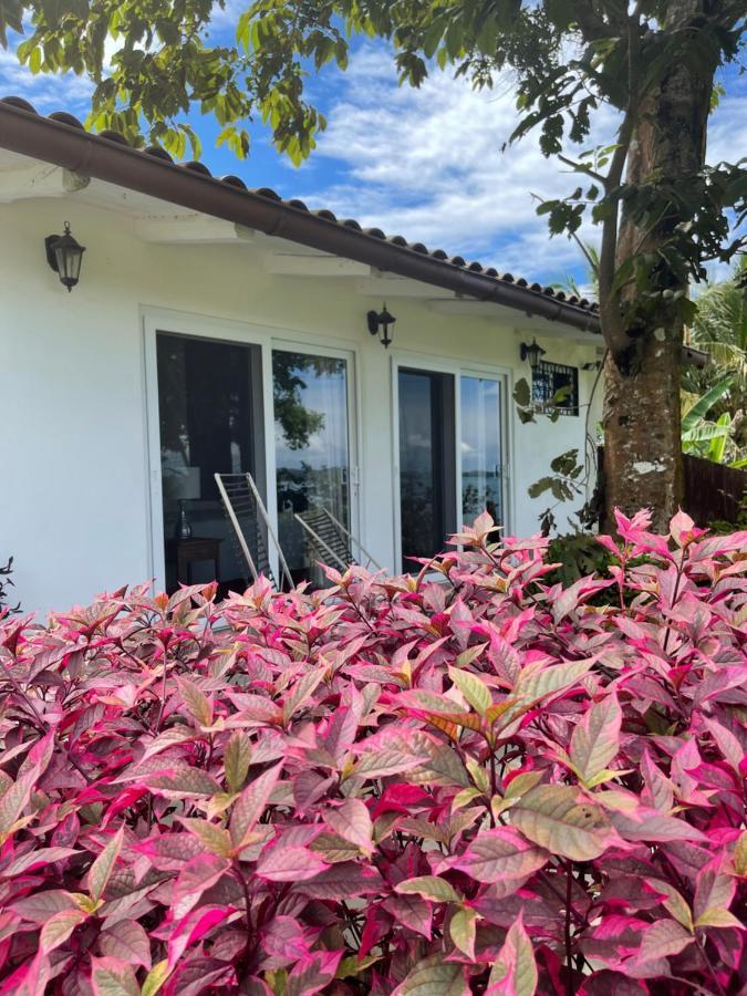 Boca Brava Paradise Bed and Breakfast Boca Chica Εξωτερικό φωτογραφία