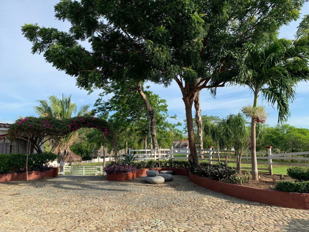 Boca Brava Paradise Bed and Breakfast Boca Chica Εξωτερικό φωτογραφία