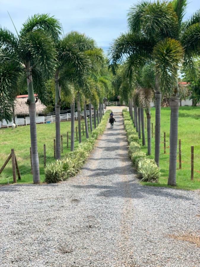 Boca Brava Paradise Bed and Breakfast Boca Chica Εξωτερικό φωτογραφία